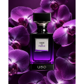 Shine Of Purple Shine Of Purple