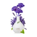 Patchouli - Lavender Oda Parfümü Patchouli - Lavender Oda Parfümü